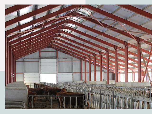 Строительство коровников в Острогожске