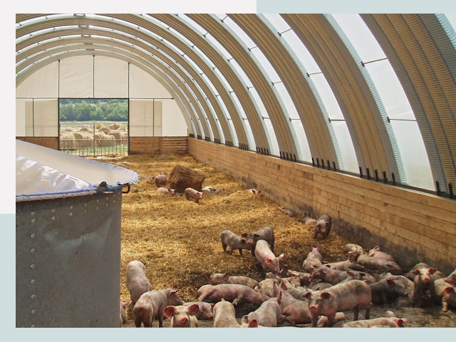 Строительство свинарников в Острогожске