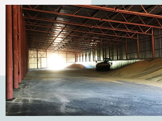 Строительство зернохранилищ в Острогожске