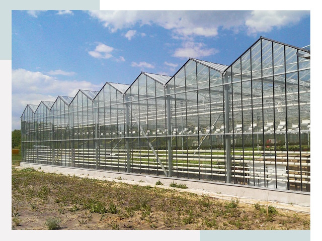 Строительство теплиц в Острогожск от 626 руб. за м²